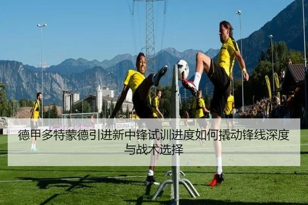 de-jia-duo-te-meng-de-yin-jin-xin-zhong-feng-shi-xun-jin-du-ru-he-qiao-dong-feng-xian-shen-du-yu-zhan-shu-xuan-ze-2-226.jpg